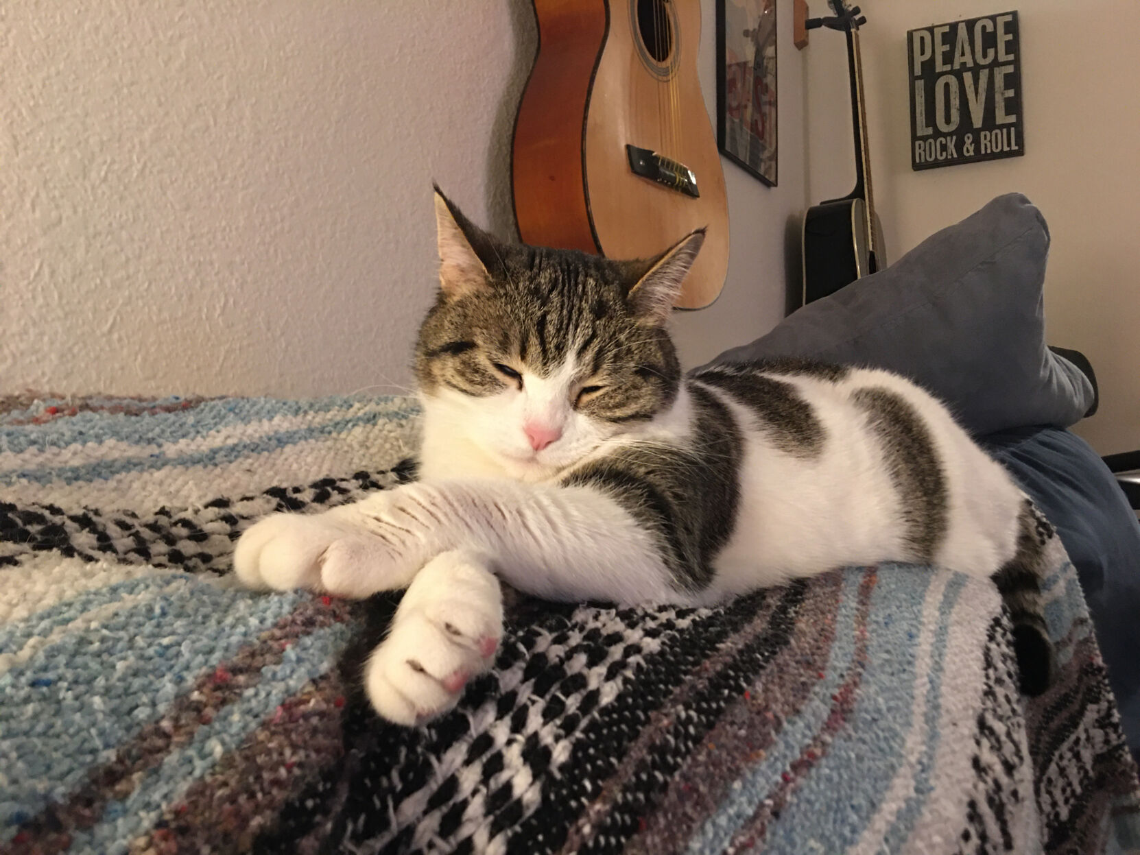 Edith.DayofAdoption_owner Susie Austin.jpg